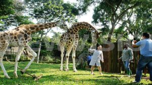 Entebbe Zoo Tour