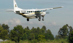 Gorilla flying safaris