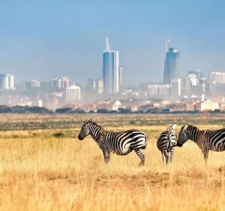 explore nairobi from uganda