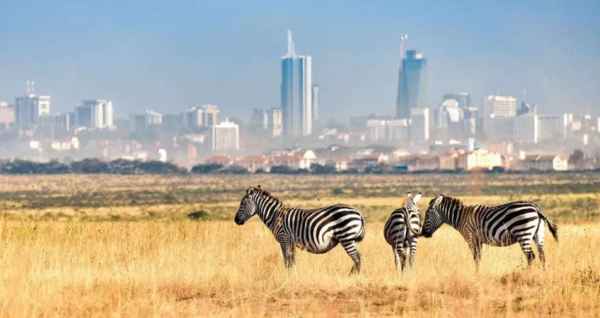 explore nairobi from uganda